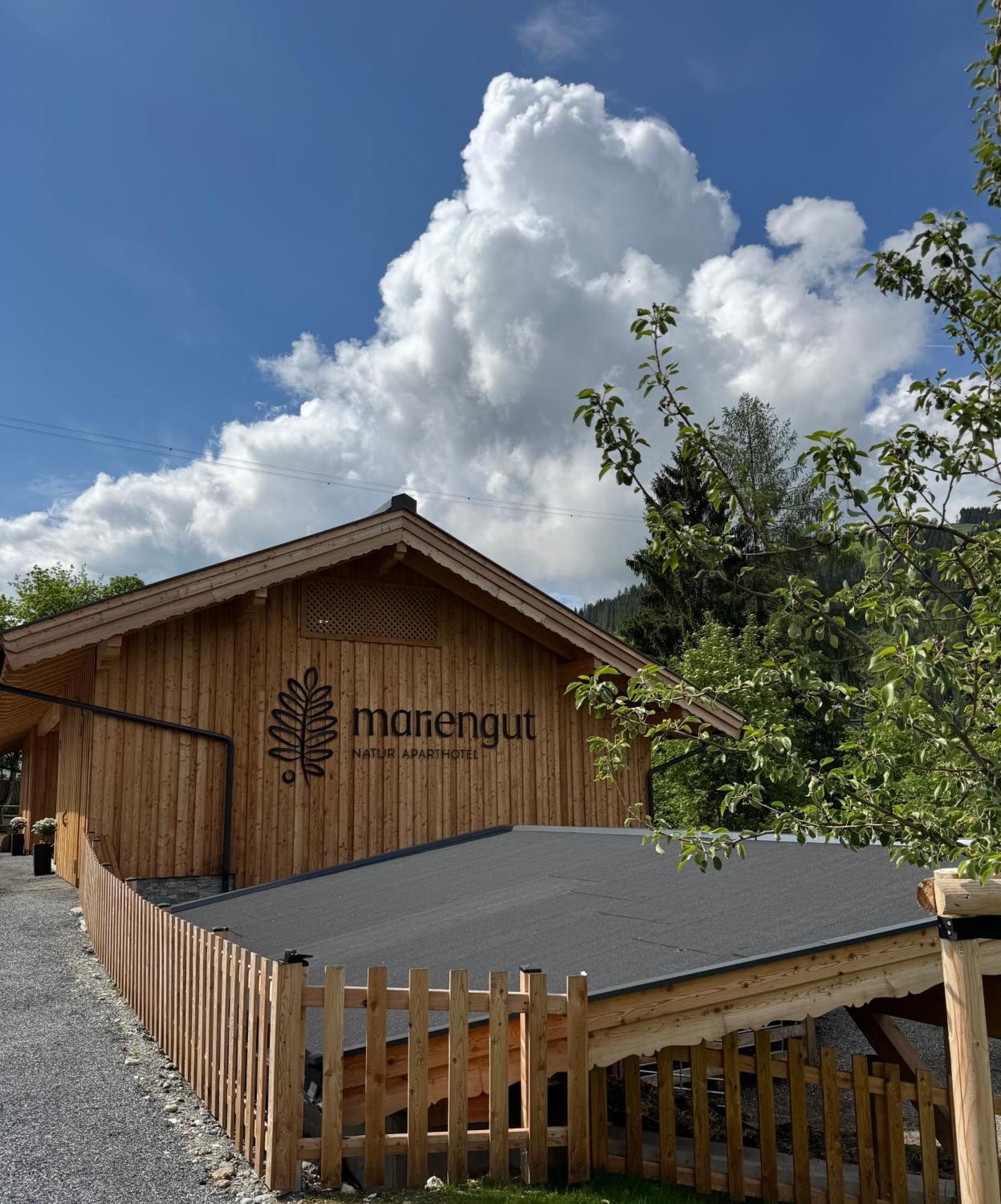 Mariengut - Natur Aparthotel Kramer Wagrain Exterior foto